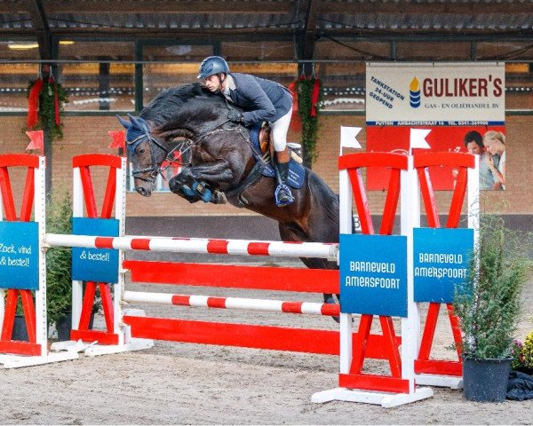 jumper Wah Moj (German Warmblood, 2012, from Wilfred)