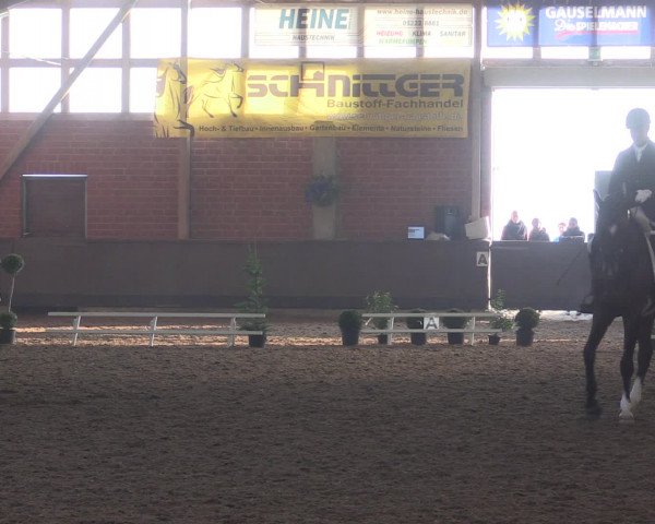 Reitturnier Hüllhorst 2015