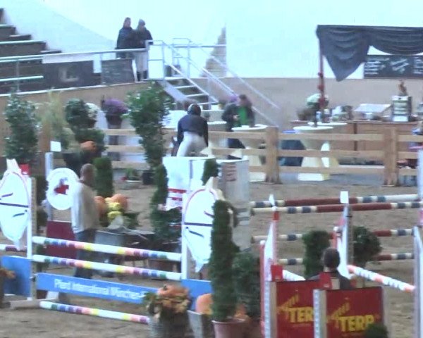 Reitturnier München-Riem 2015