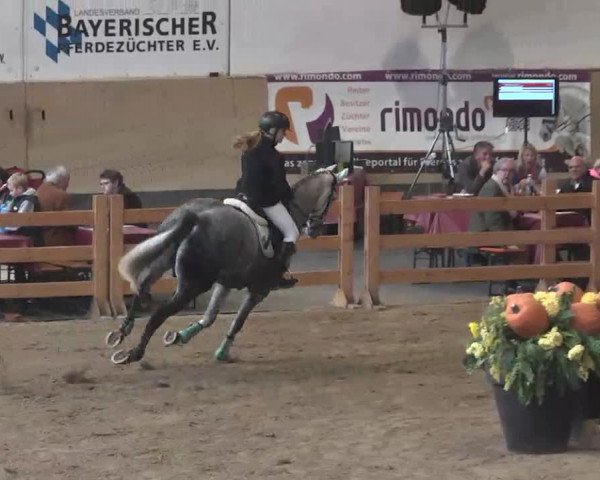 Reitturnier München-Riem 2015