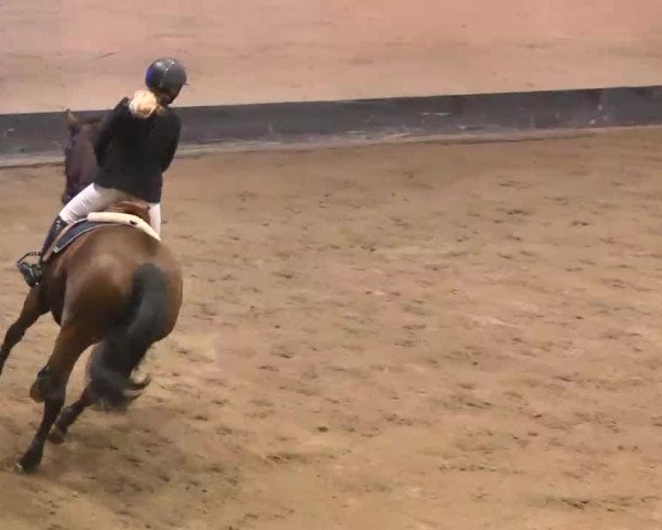 Reitturnier München-Riem 2015