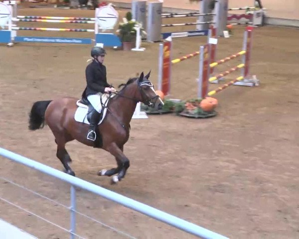 Reitturnier München-Riem 2015