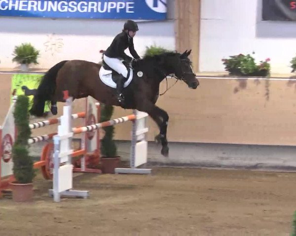 Reitturnier München-Riem 2015