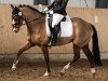 dressage horse Mon Coeur 23 (German Riding Pony, 2012, from The Braes My Mobility)