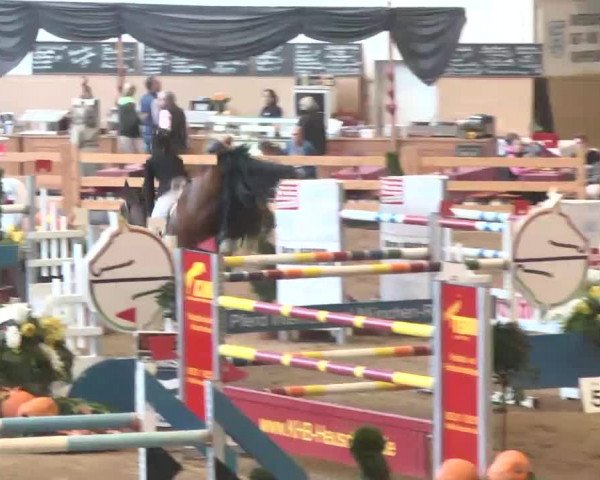 Reitturnier München-Riem 2015