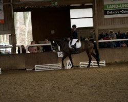 dressage horse Georgina H (Oldenburg, 2006, from Riccione)