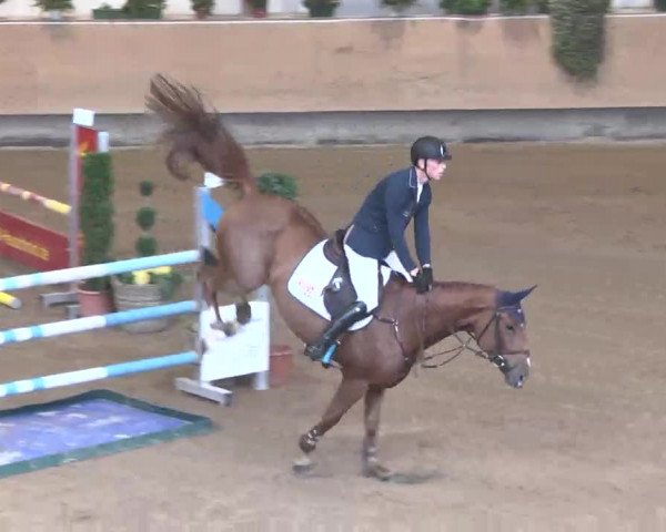Reitturnier München-Riem 2015