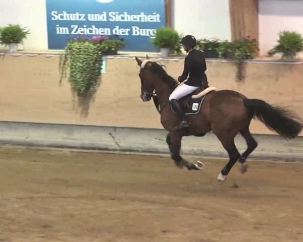 Reitturnier München-Riem 2015