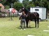 broodmare Galaxia KW (Oldenburg show jumper, 2015, from Chamberlain D)