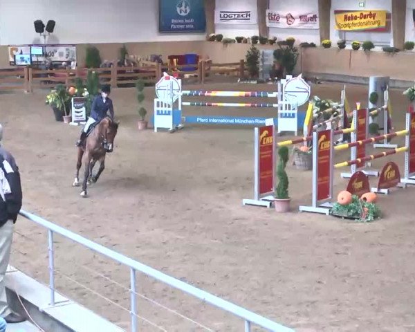 Reitturnier München-Riem 2015