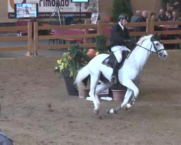 Reitturnier München-Riem 2015
