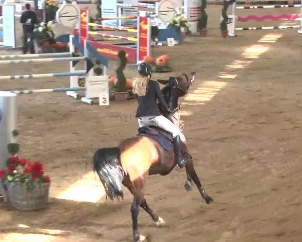 Reitturnier München-Riem 2015