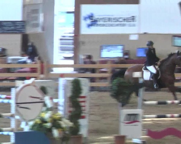 Reitturnier München-Riem 2015