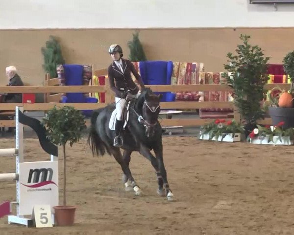 Reitturnier München-Riem 2015
