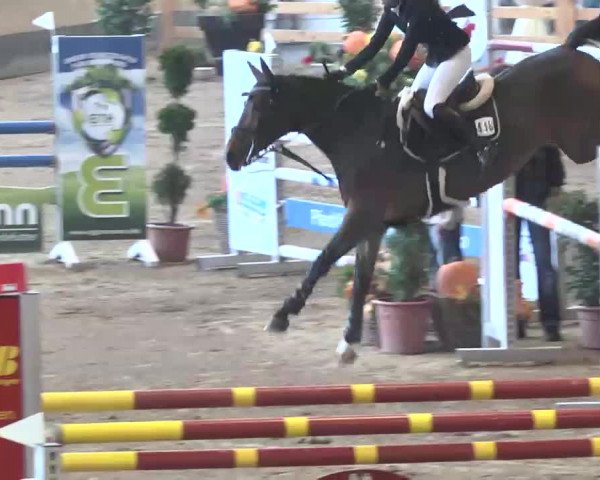Reitturnier München-Riem 2015