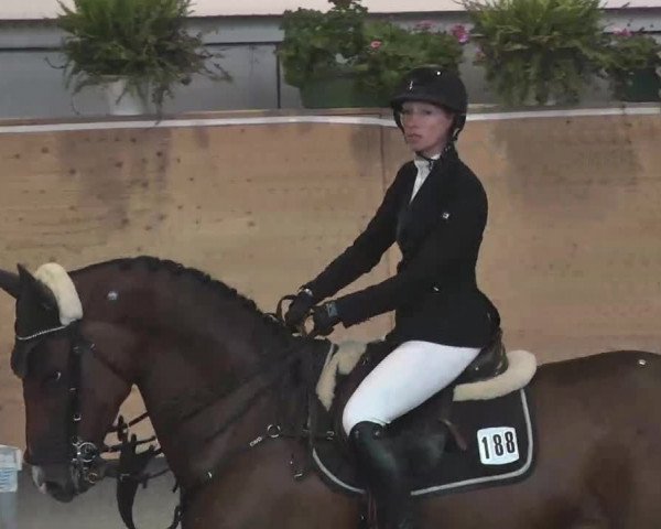 Reitturnier München-Riem 2015