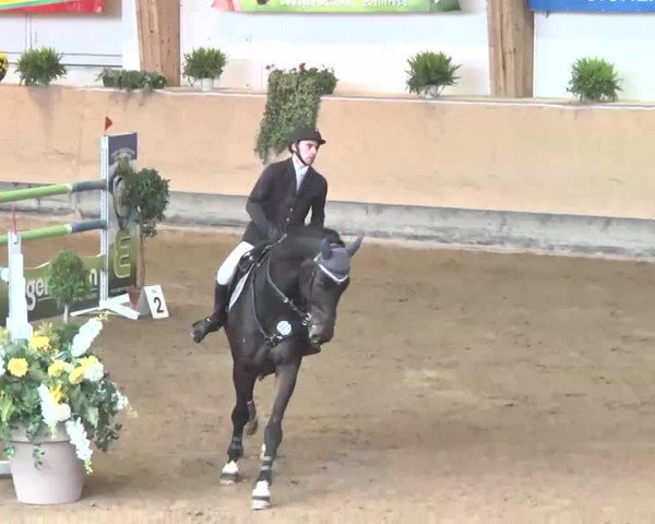 Reitturnier München-Riem 2015