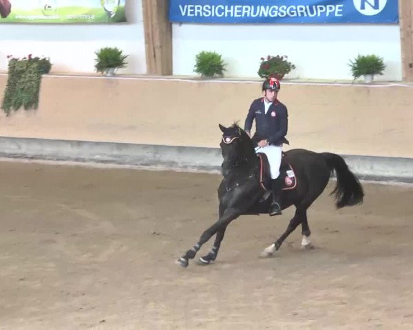 Reitturnier München-Riem 2015