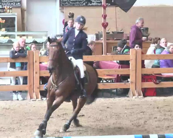 Reitturnier München-Riem 2015