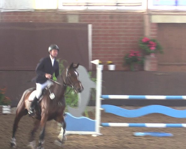 Reitturnier Hüllhorst 2015