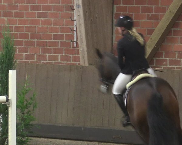 Reitturnier Hüllhorst 2015
