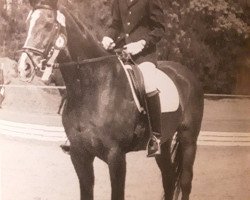 broodmare Glanda (Hanoverian, 1980, from Glander)