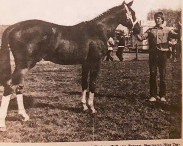 broodmare Atlanta (Hanoverian, 1982, from Askan)