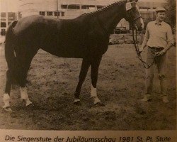 broodmare Noraliese (Hanoverian, 1978, from Novum xx)