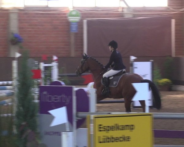 Reitturnier Hüllhorst 2015