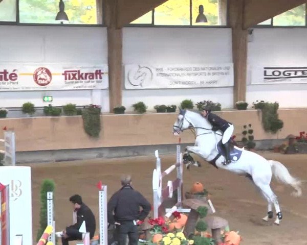 Reitturnier München-Riem 2015