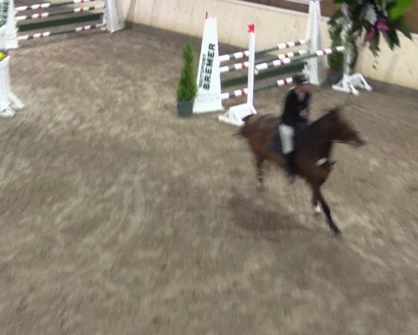 Reitturnier Hövelhof 2015