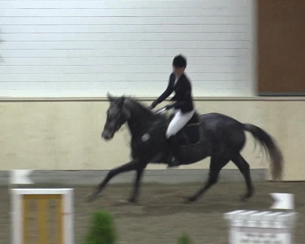 Reitturnier Hövelhof 2015
