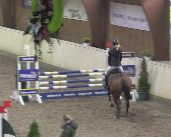 Reitturnier Hövelhof 2015