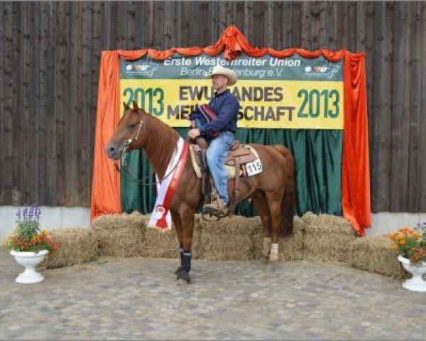 stallion Topsail Peppy Cody (Quarter Horse, 2004, from ARC King Cody)