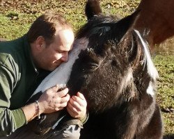 broodmare Salome (Pinto / Hunter, 2000, from Semper)