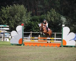 Springpferd Pan's Gipsy (Arabisches Halbblut / Partbred, 2002, von Pan Tau)