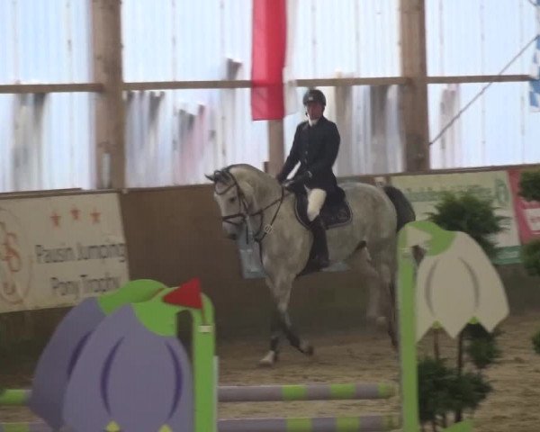 Reitturnier Pausin 2015