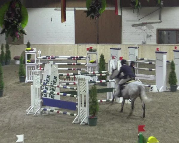 Reitturnier Hövelhof 2015