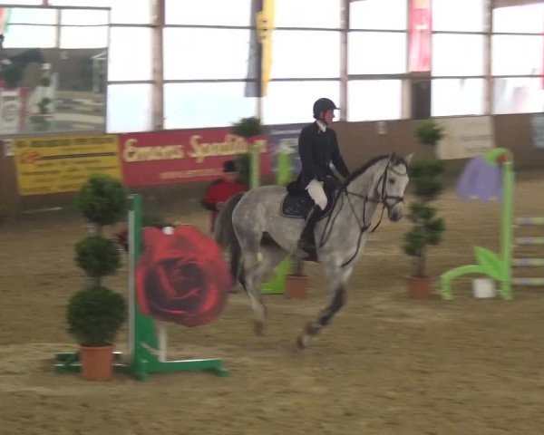 Reitturnier Pausin 2015