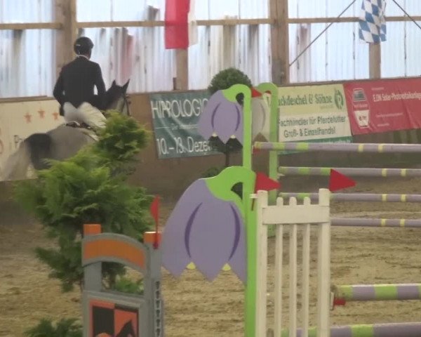 Reitturnier Pausin 2015