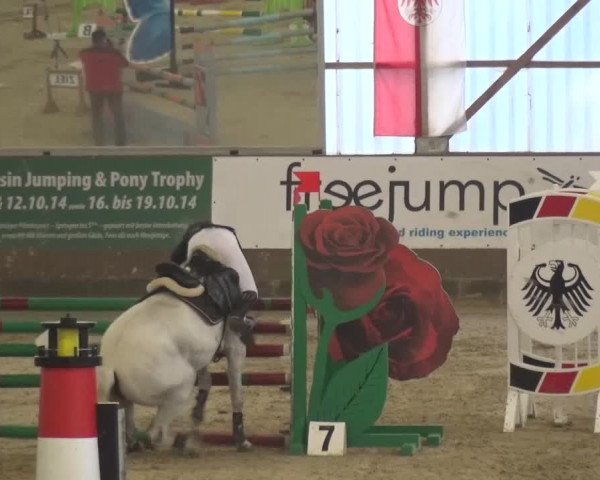 Reitturnier Pausin 2015
