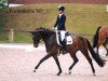 dressage horse Formidable M (Hanoverian, 2013, from Fürst Romancier)