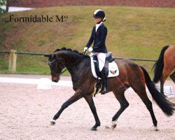 dressage horse Formidable M (Hanoverian, 2013, from Fürst Romancier)