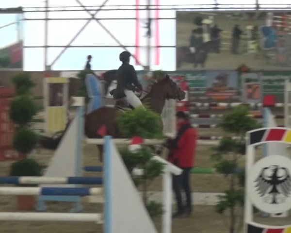 Reitturnier Pausin 2015
