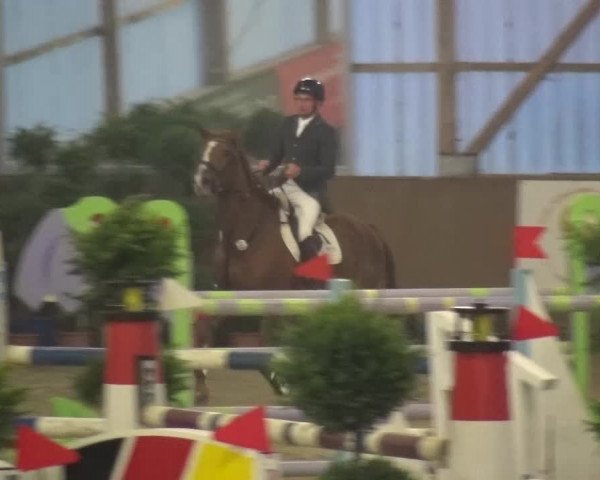 Reitturnier Pausin 2015