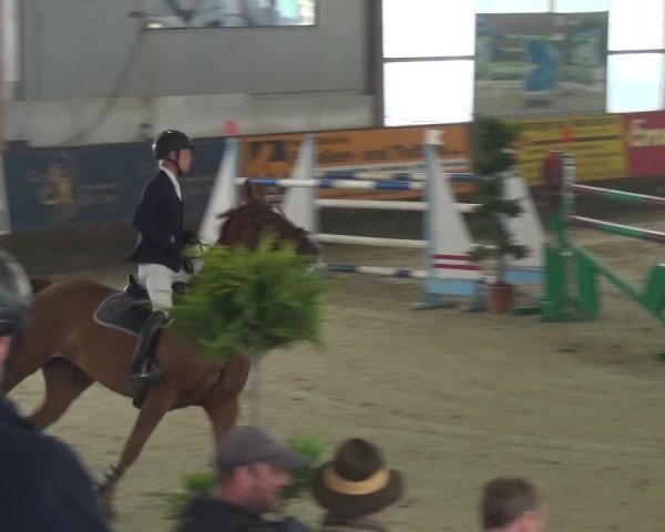 Reitturnier Pausin 2015