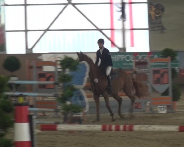 Reitturnier Pausin 2015