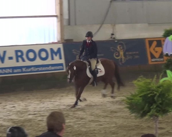 Reitturnier Pausin 2015