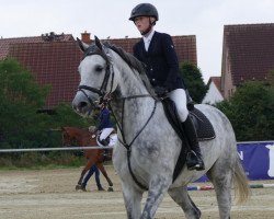 jumper Leandra 234 (Oldenburg show jumper, 2011, from Levisonn 208 FIN)