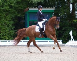 dressage horse Babylon 26 (Westphalian, 2006, from Belissimo NRW)